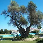 Pedras D'el Rei - Vista Jardim