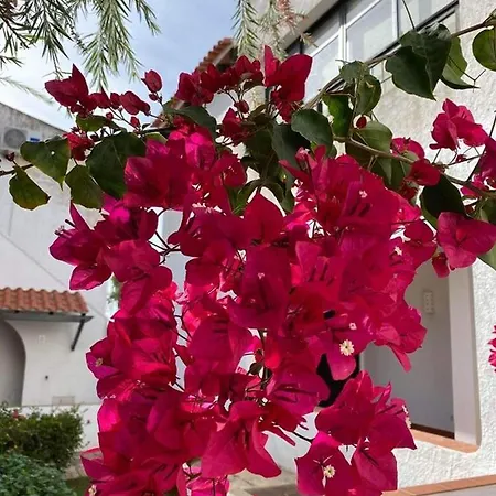 Pedras D'el Rei - Vista Jardim Appartement *
