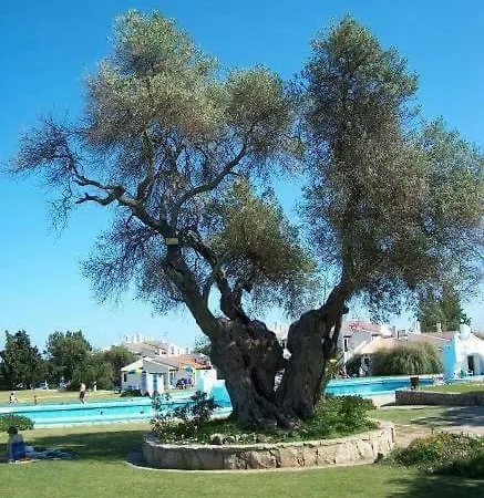 Pedras D'el Rei - Vista Jardim