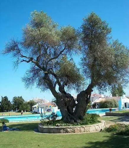 Pedras D'el Rei - Vista Jardim