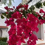 Pedras D'el Rei - Vista Jardim شقة *