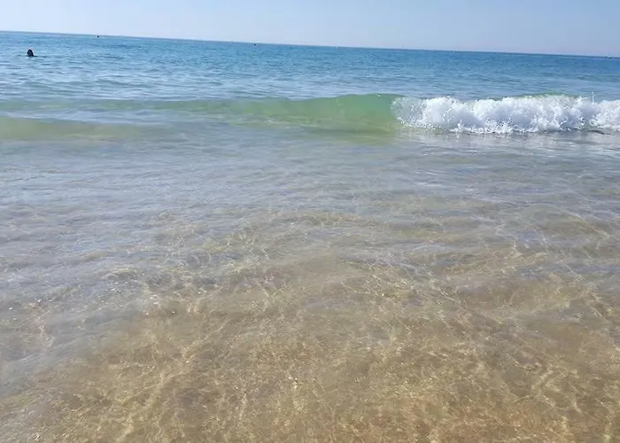 Pedras D'el Rei - Vista Jardim *